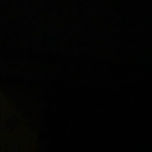 Meet your Posher, Monique